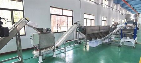 核桃去青皮清洗、提升機(jī)