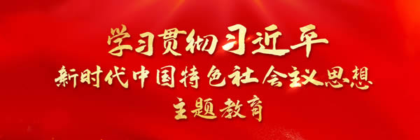 學(xué)習(xí)貫徹習(xí)近平時(shí)代中國特色社會主義思想主題教育